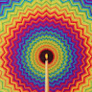 Meet your Posher, Bridget